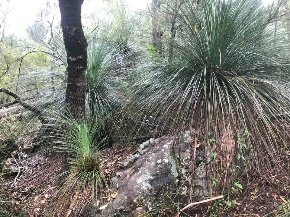 Wilderness Sanctuary in the Watagan