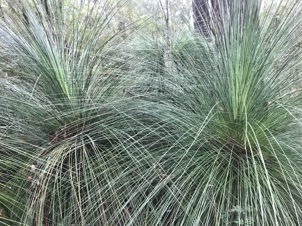 Wilderness Sanctuary in the Watagan