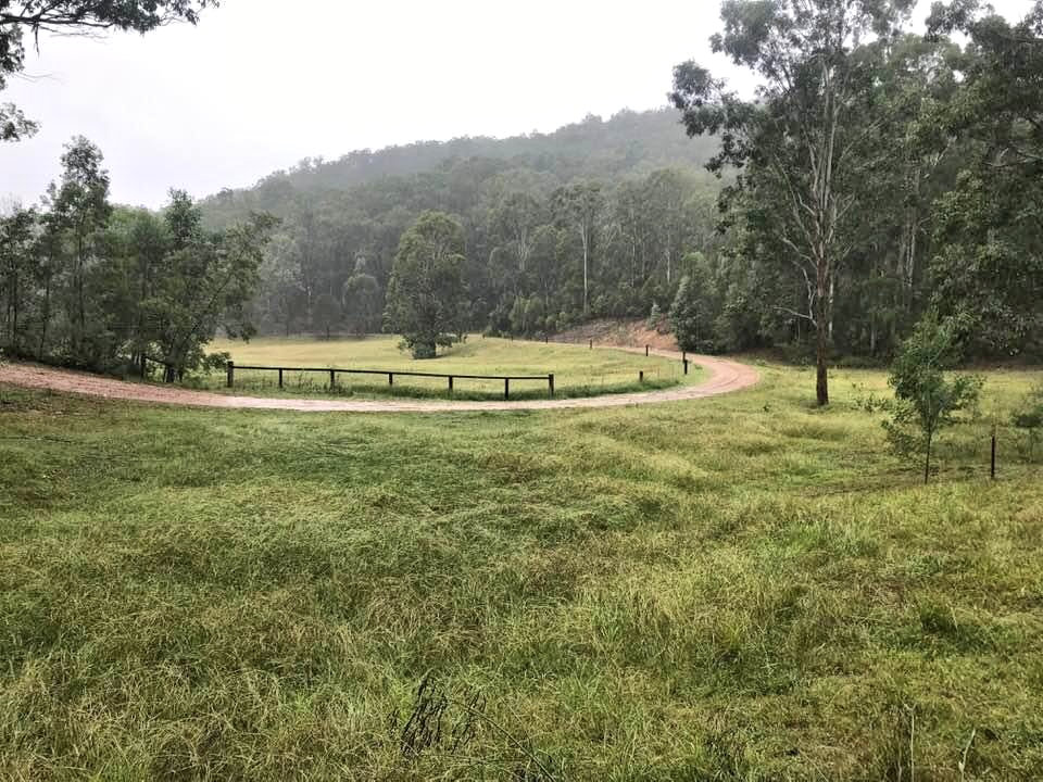 Wilderness Sanctuary in the Watagan