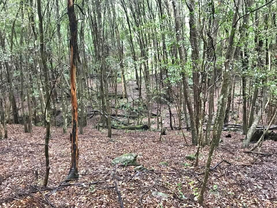 Wilderness Sanctuary in the Watagan