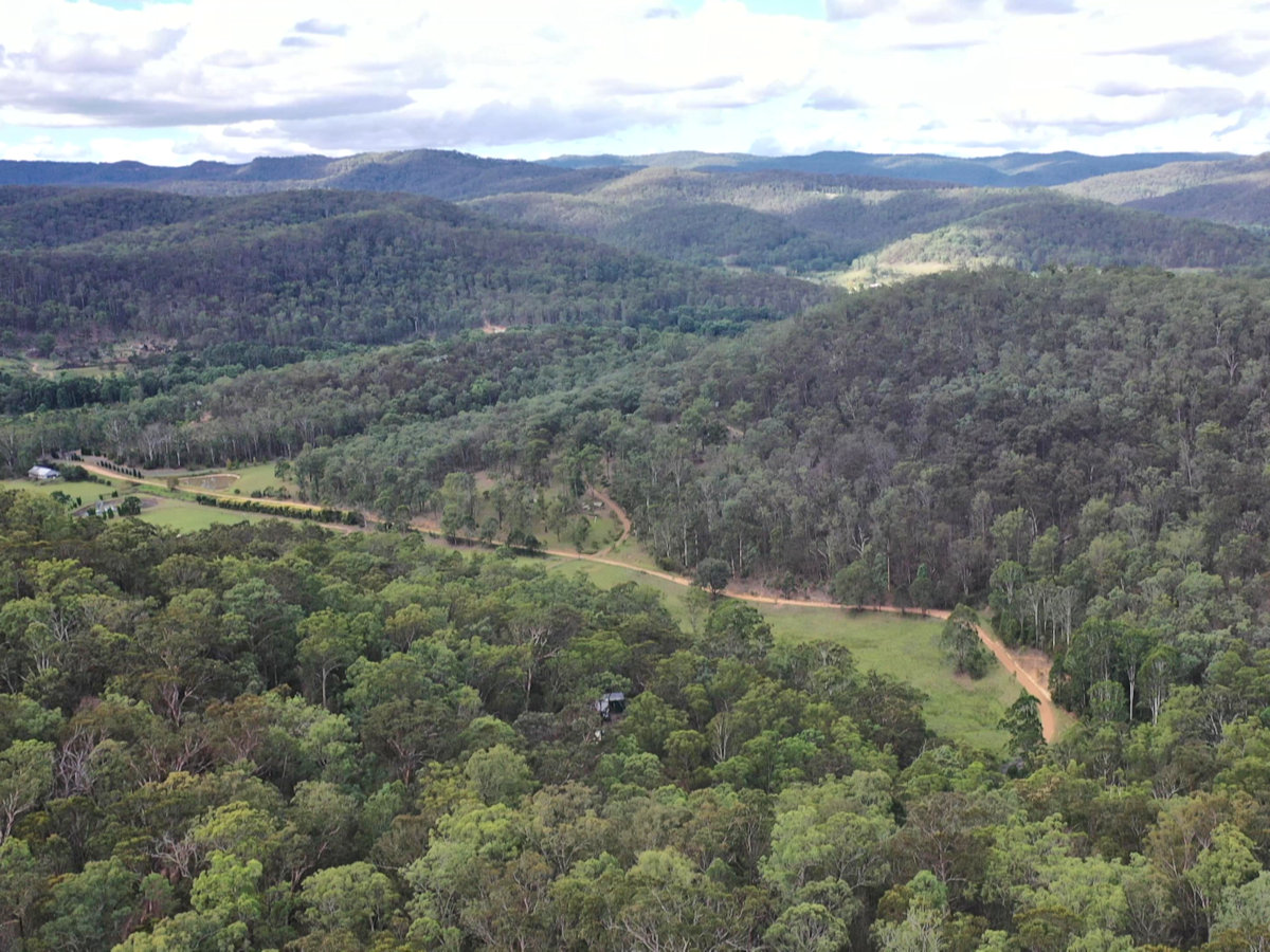 Wilderness Sanctuary in the Watagan