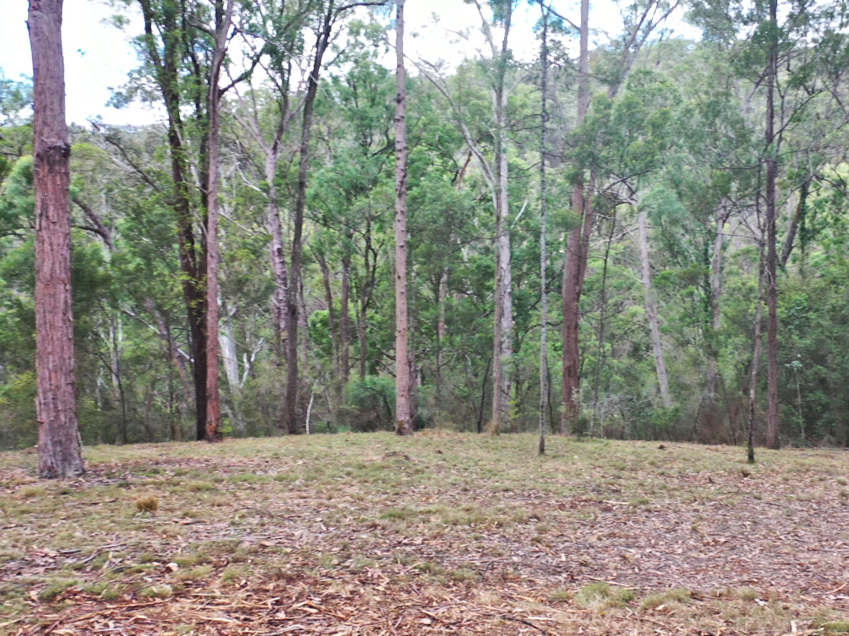 Wilderness Sanctuary in the Watagan