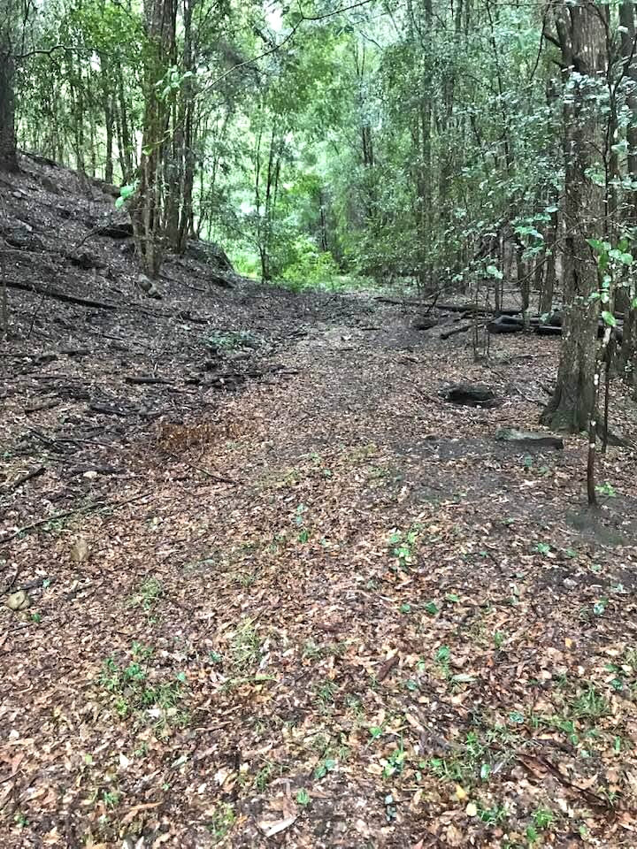 Wilderness Sanctuary in the Watagan