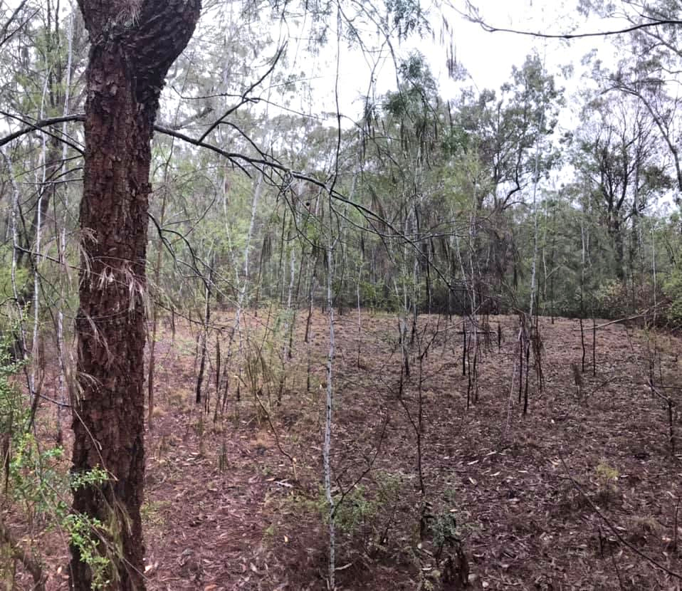 Wilderness Sanctuary in the Watagan
